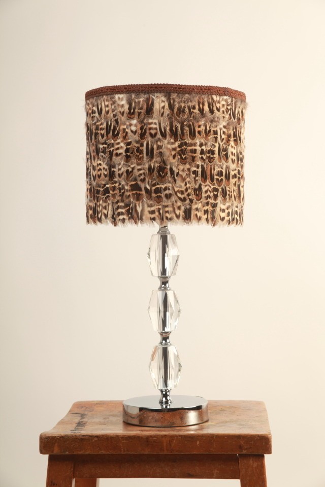 Feather lamp shades 7