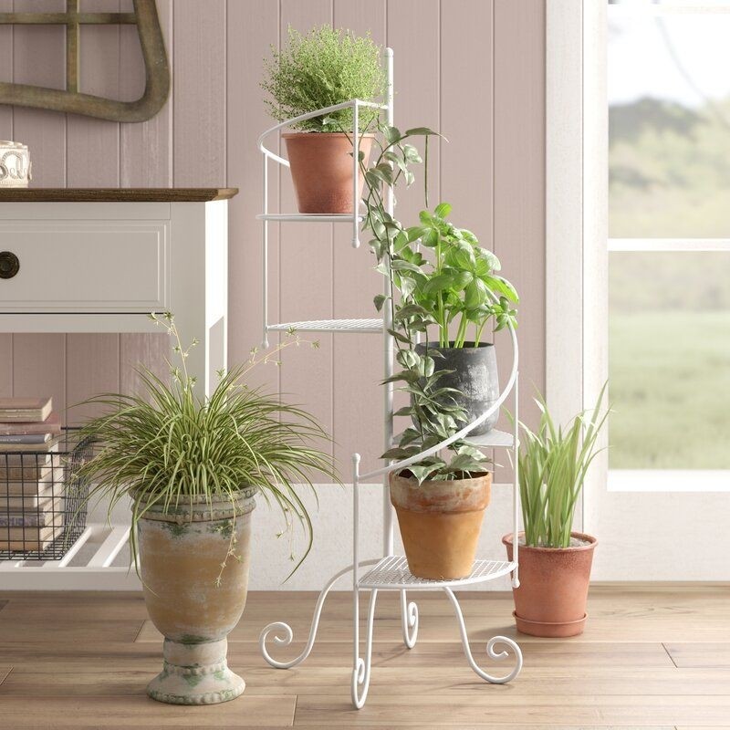 Oxalide multi tiered plant stand plants wisteria plant