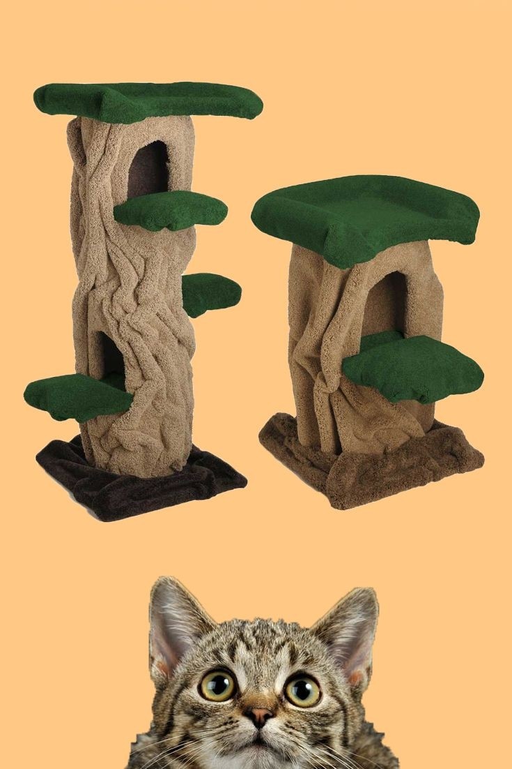 Top unique cat trees for your kitty find a great