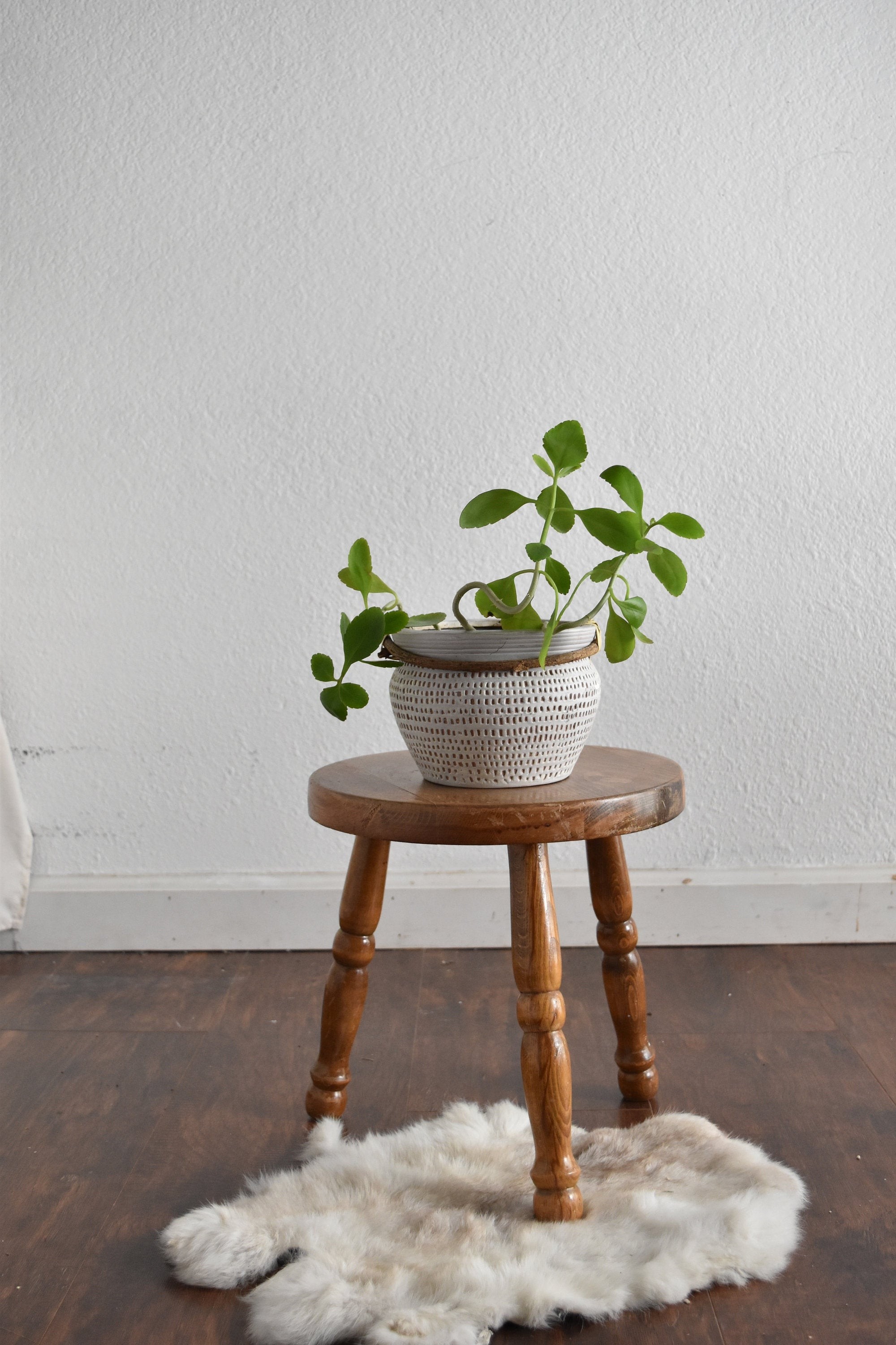 Vintage small wood stool plant stand 1