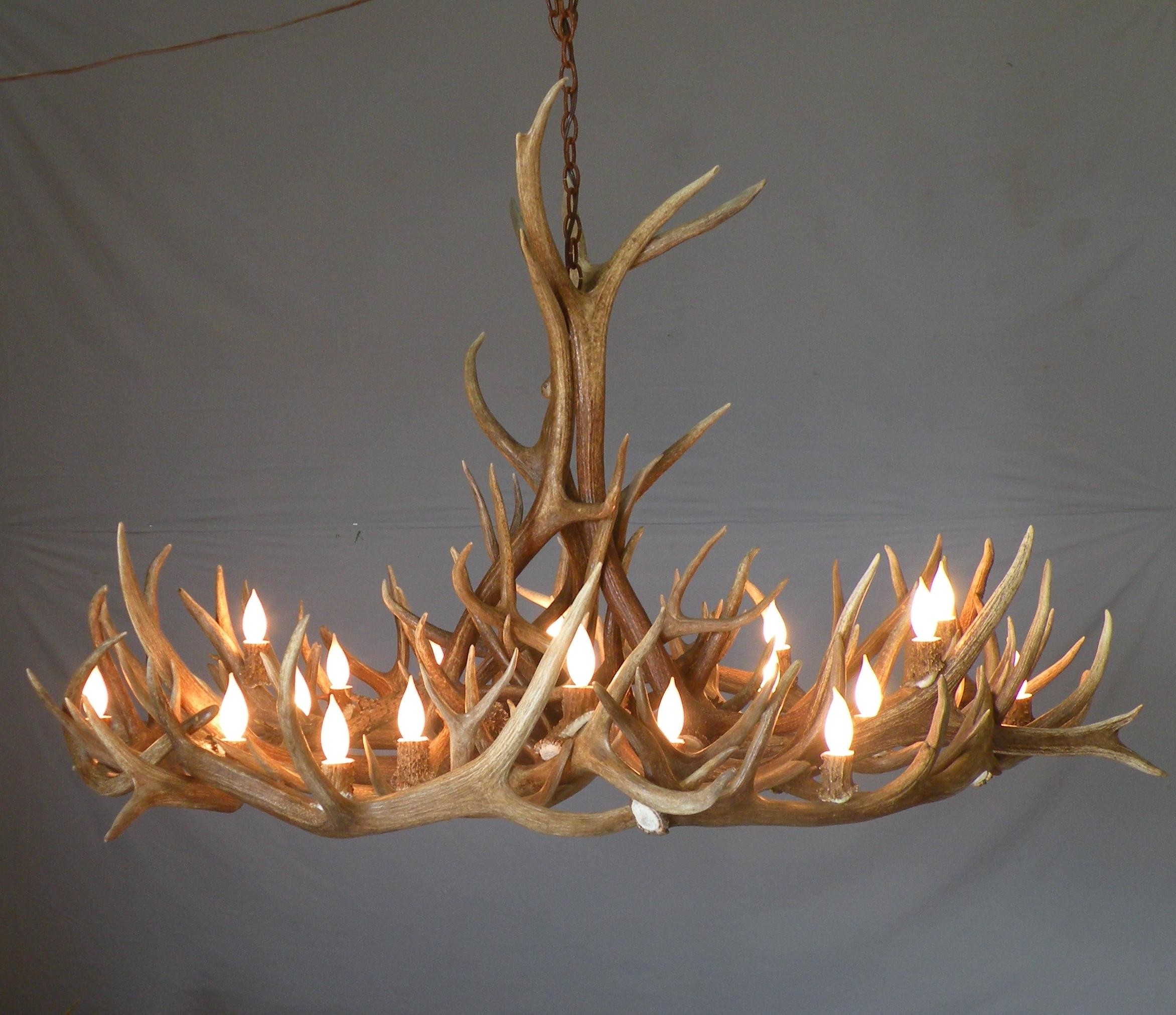 12 photo of unusual chandeliers 1