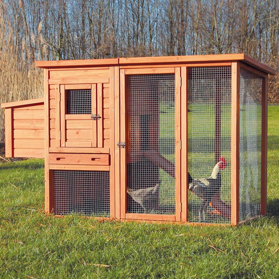 Chicken coop dubai for sale chicken coop with flat roof