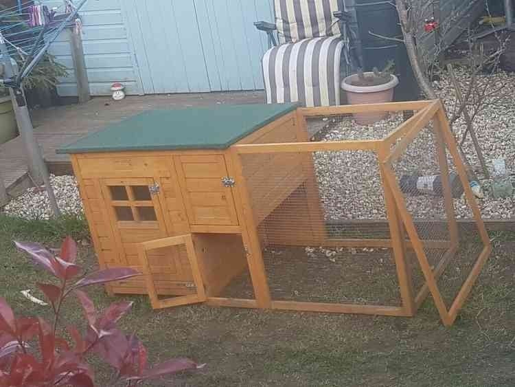 Chicken house for sale 6