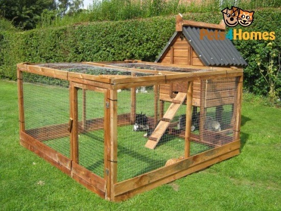 Chicken houses for sale norwich norfolk pets4homes