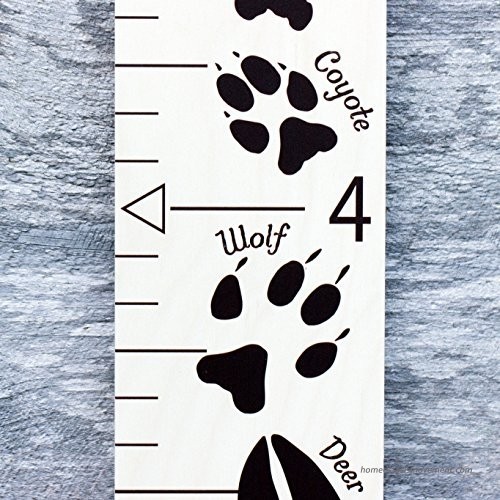 Growth chart art hanging wooden height growth chart to 4