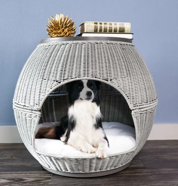 Top 7 pet crate end tables for contemporary homes cute