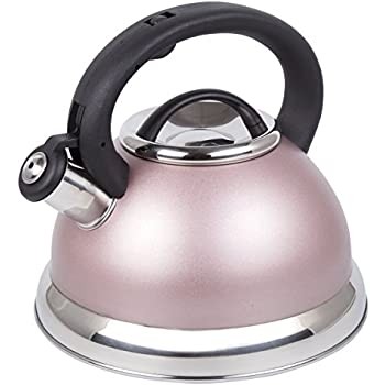 Amazon com stainless steel tea kettle hot pink tea