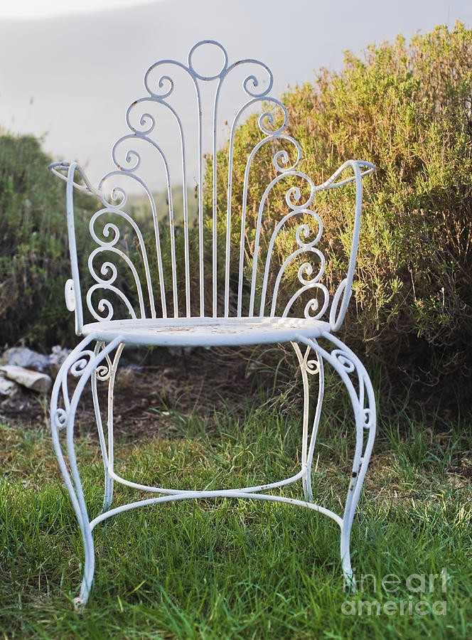 White metal garden chair photograph by noam armonn