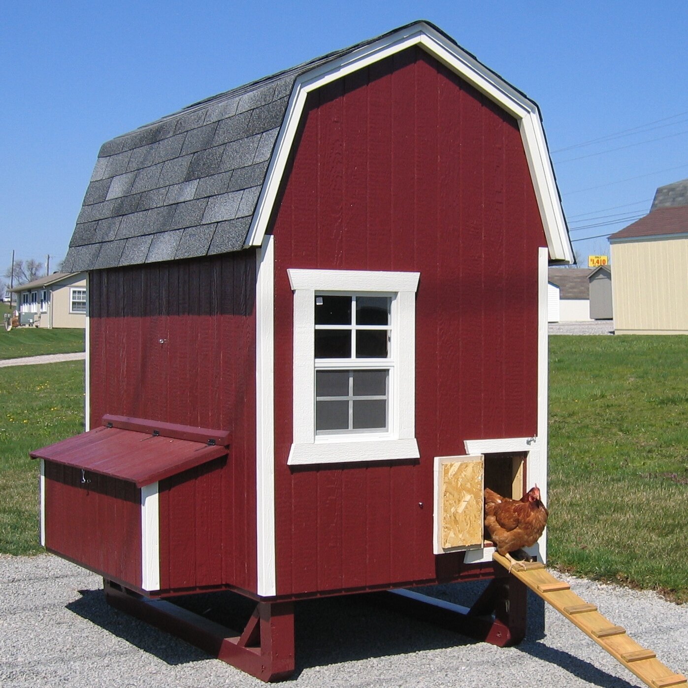 Barn Style Walk in Chicken Coop for 8 Chickens
