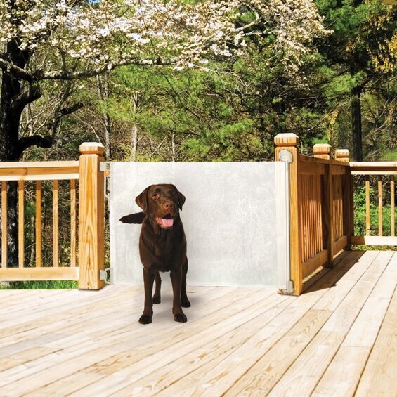 Outdoor retractable sale dog gate