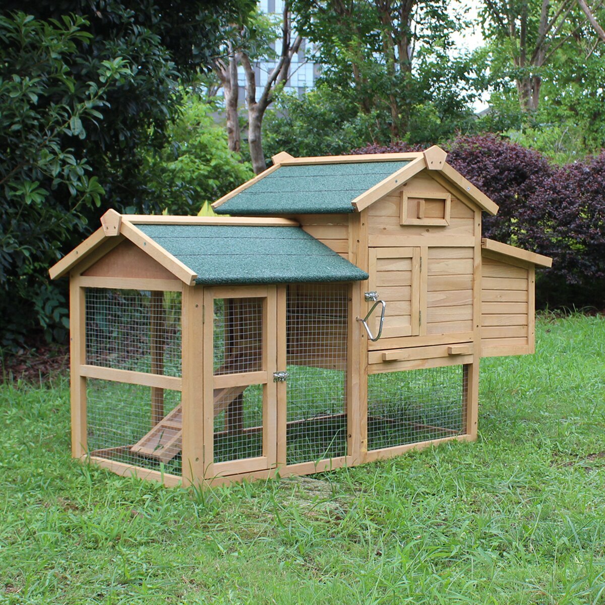 Chicken Coop for 8 Chickens with Roosting Bar