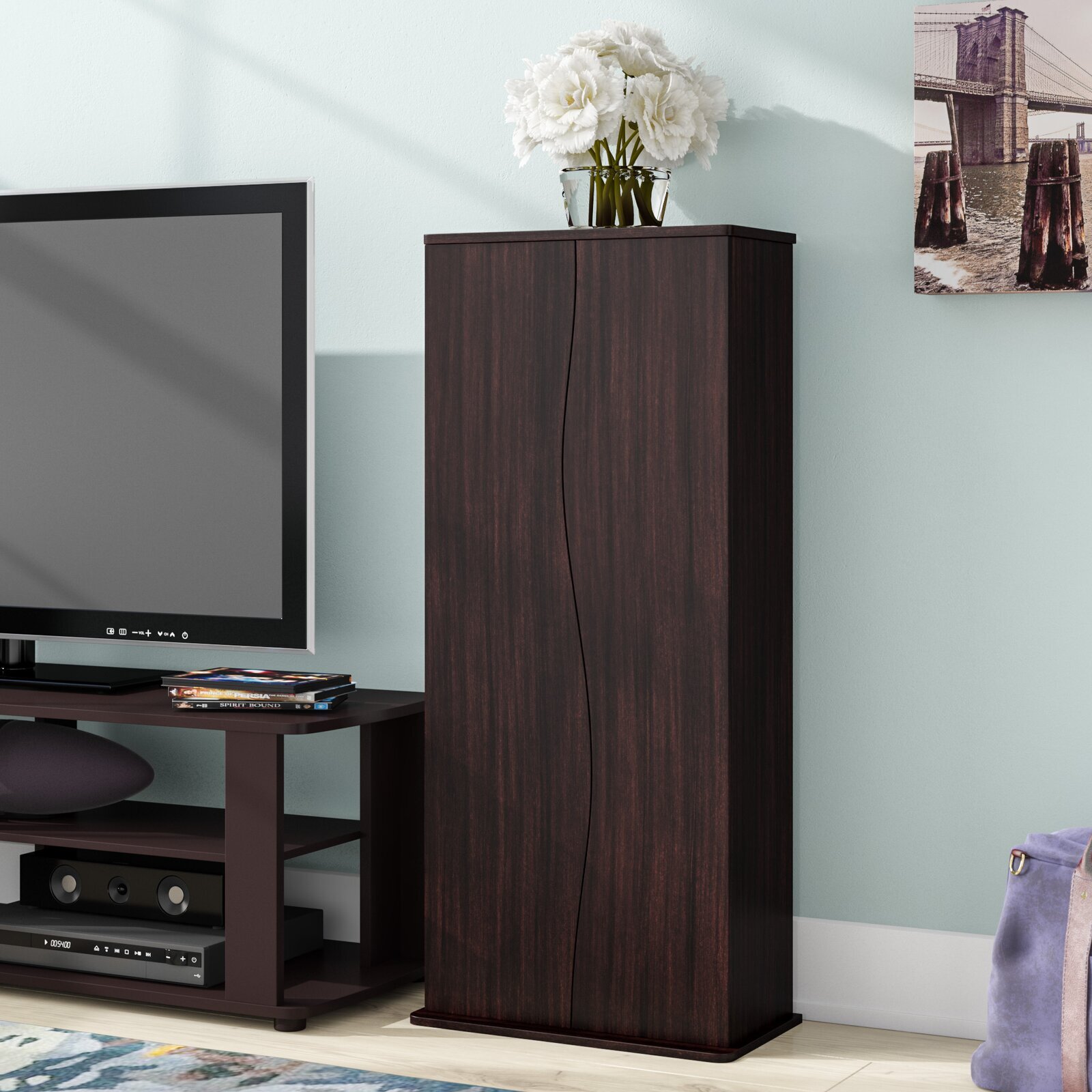 Contemporary Brown CD Storage Cabinet With Doors