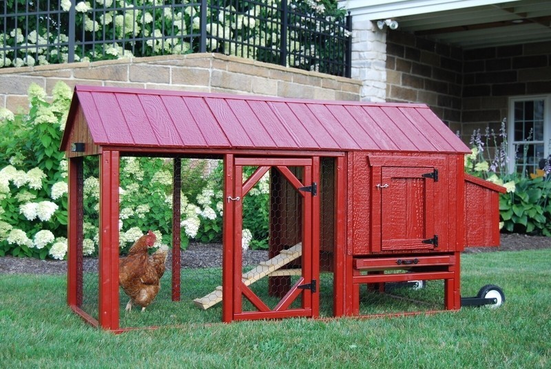 Dinah Chicken Coop with Chicken Run For Up to 4 Chickens