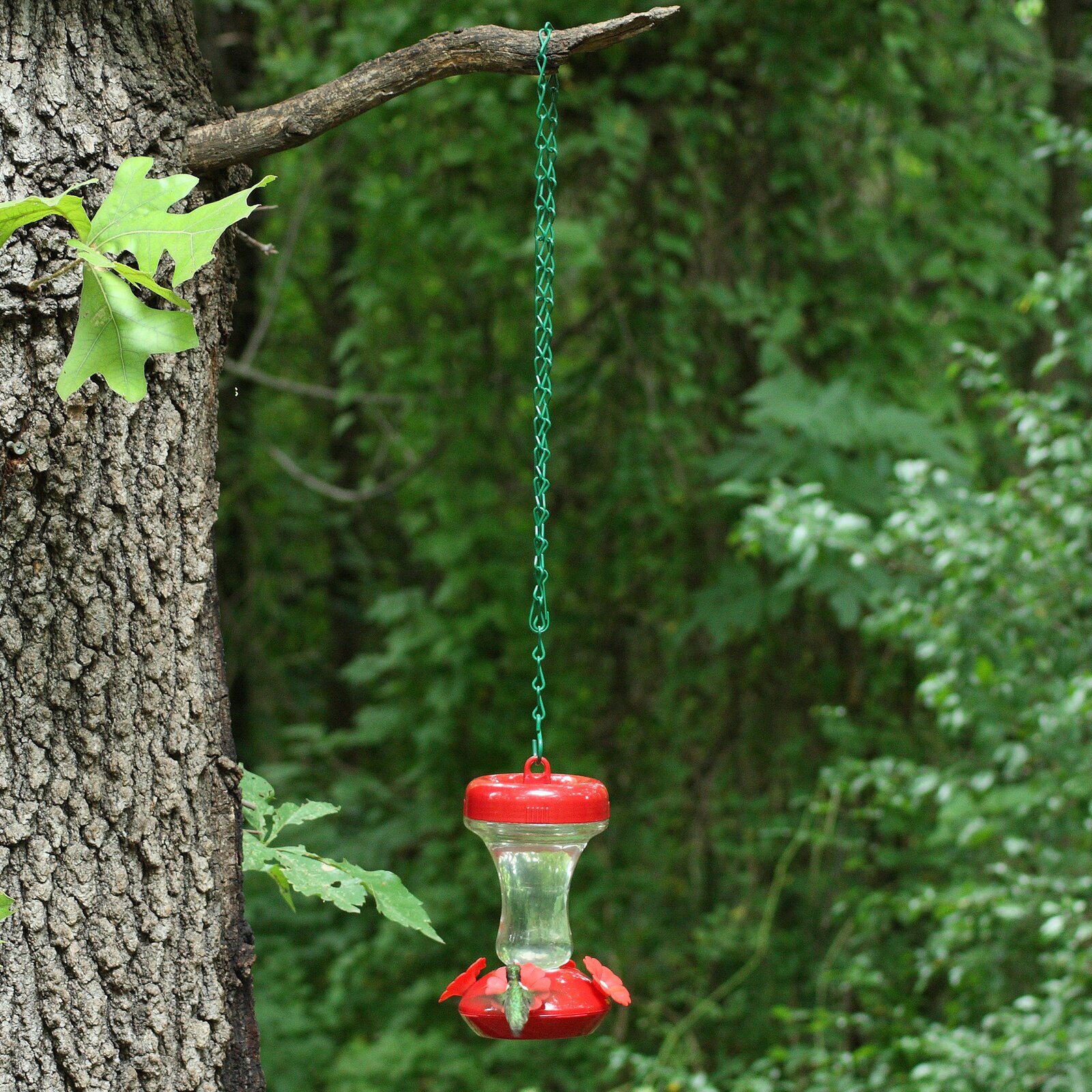 DIY bird feeder stand with chain