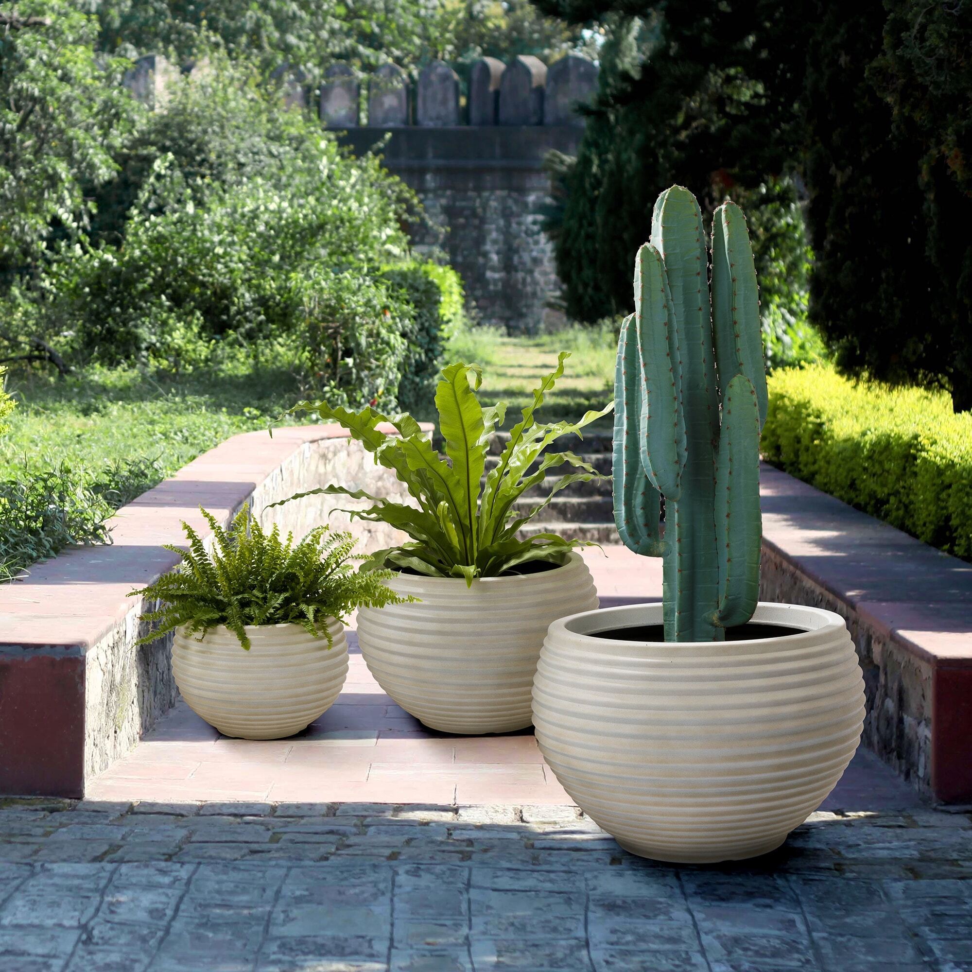 Large Indoor Plant Pots - Foter  Large indoor plants, Large plant pots,  Indoor plant pots