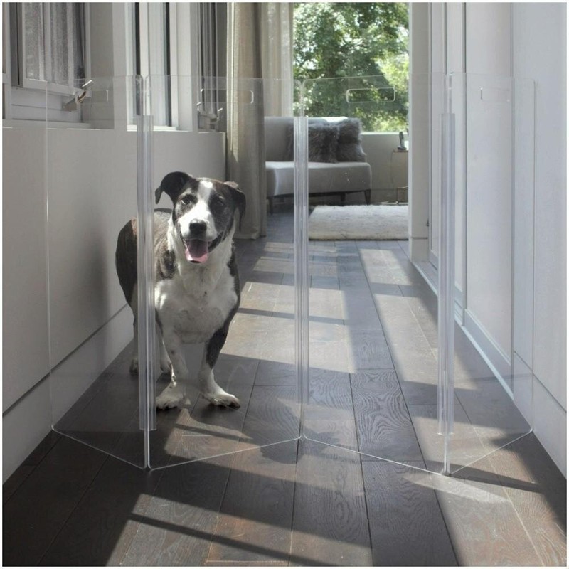 Freestanding Transparent Pet Gate for Stairs