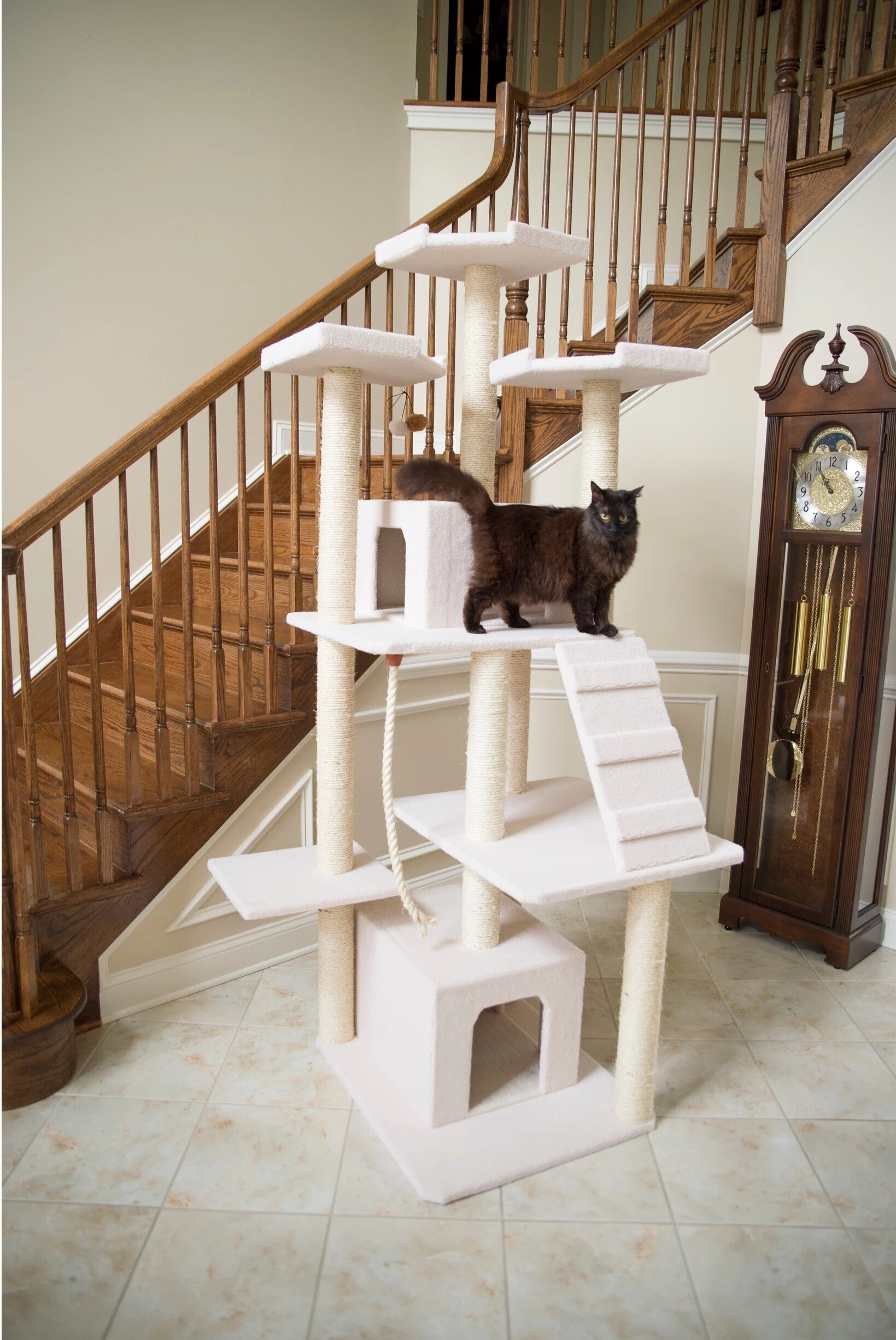 Giant cat tower with two condos