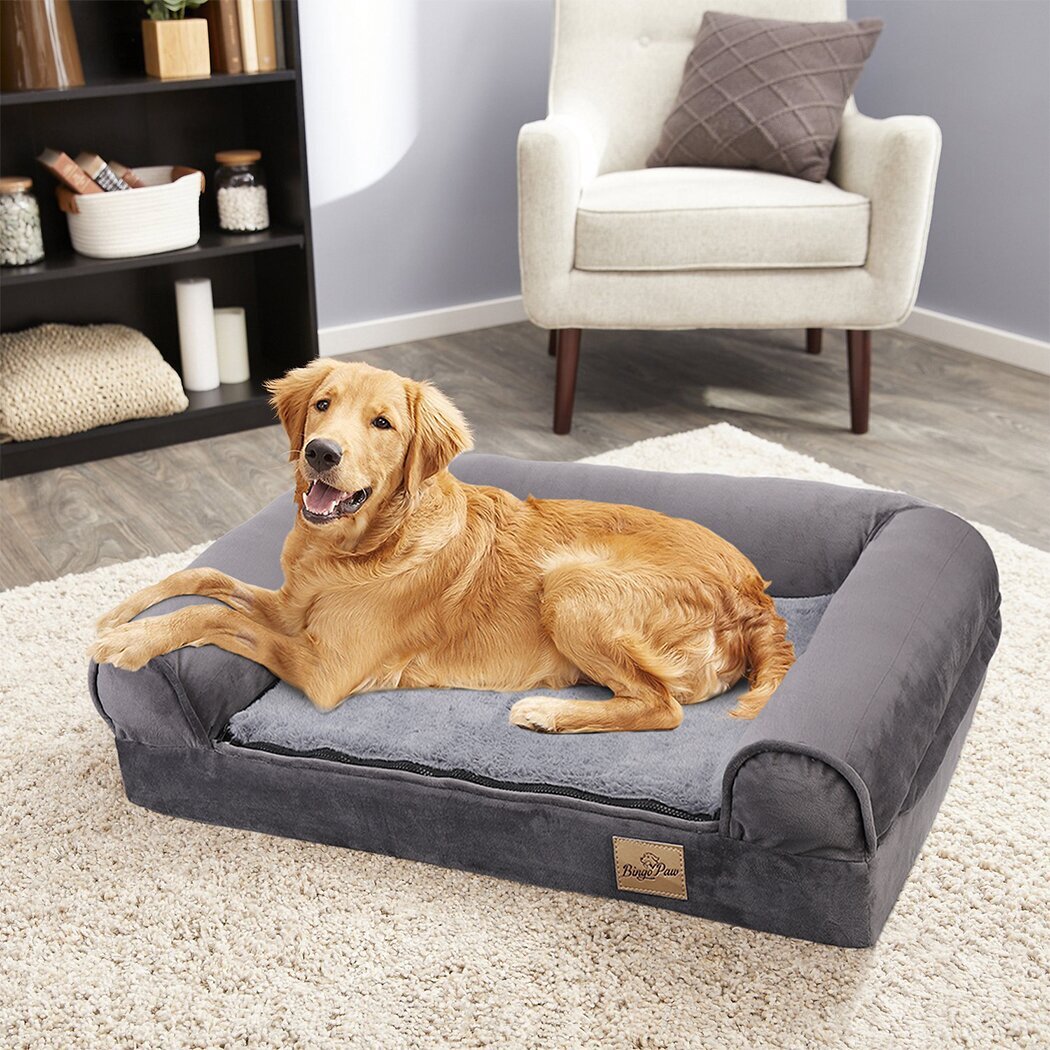 Luxury Outdoor Canine Furniture : dog lounge