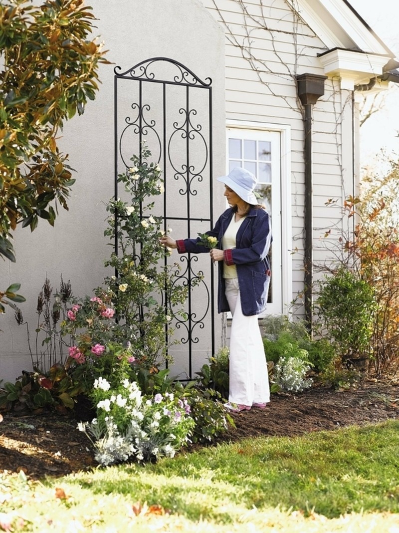 Metal Garden Arbors And Trellises - Ideas on Foter