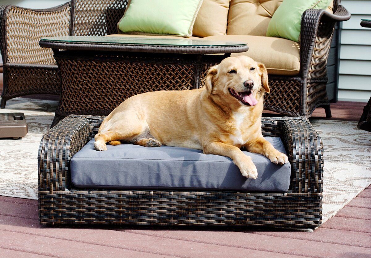 Outdoor dog chair to complement your style