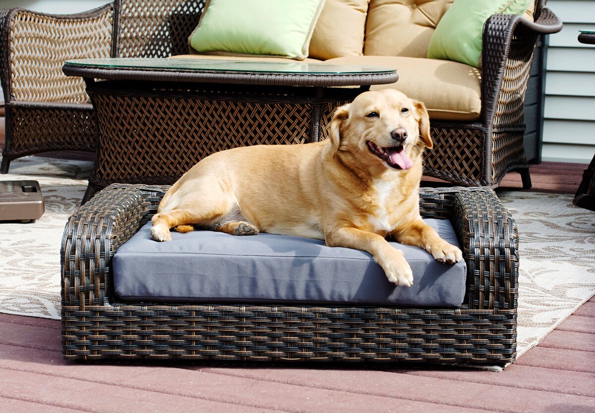 Outdoor store dog lounger