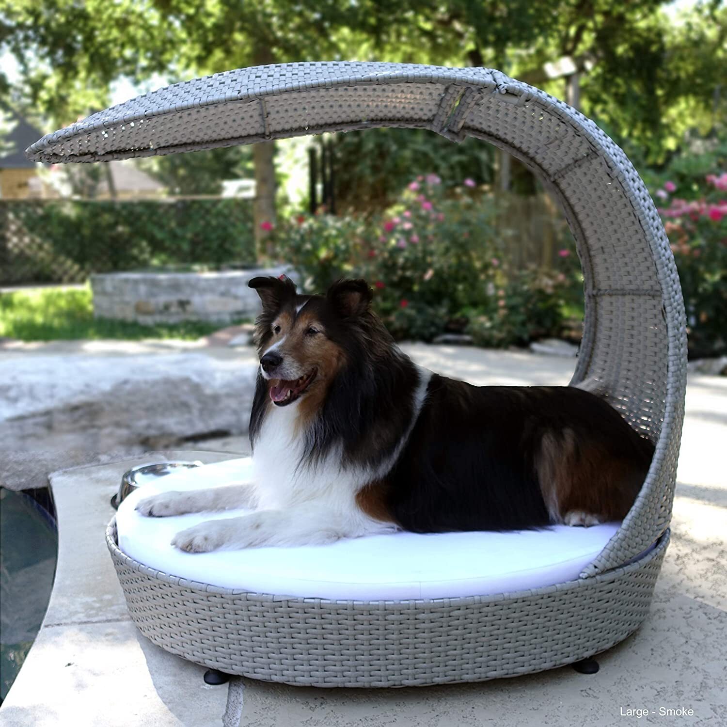 Outdoor dog chair with shade cover