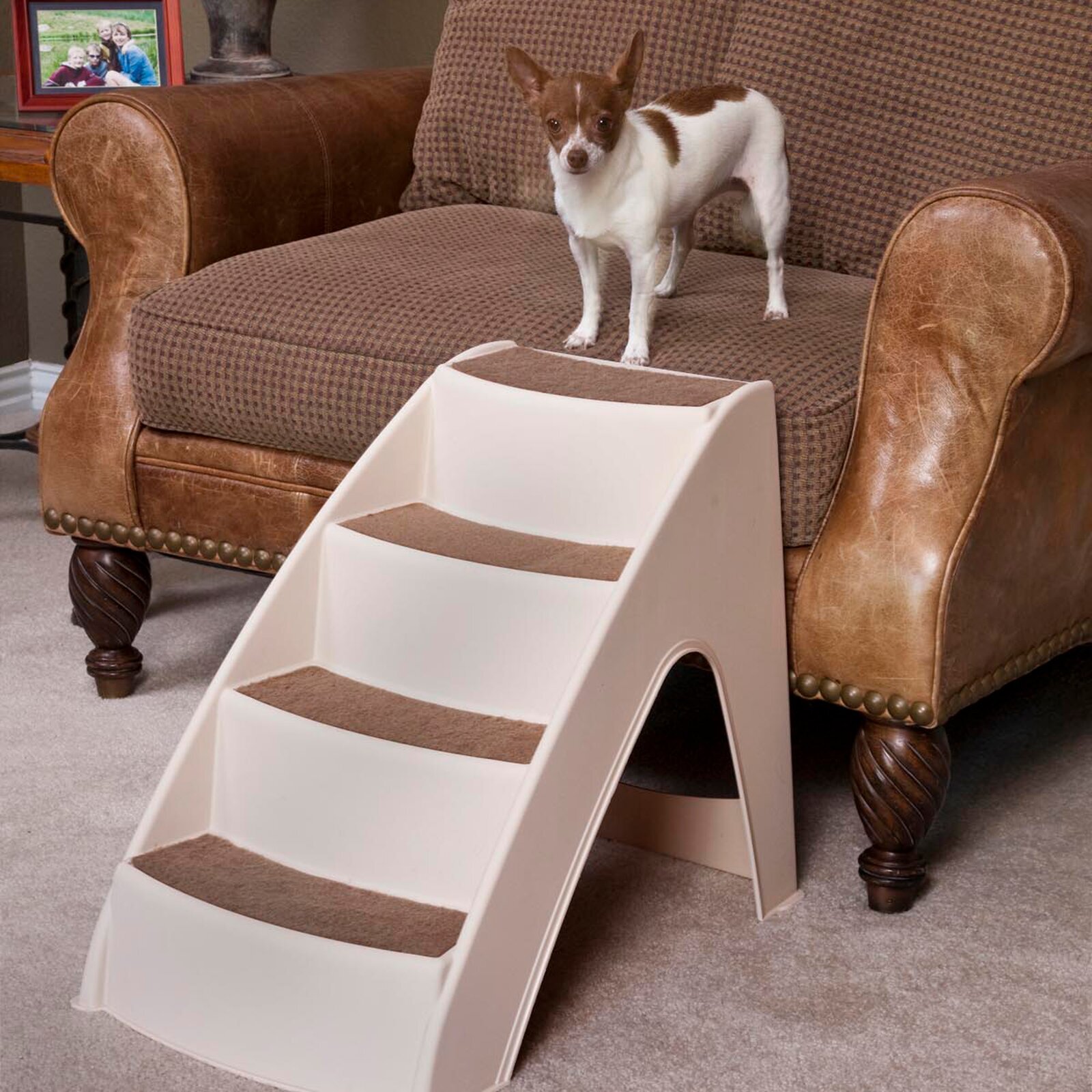 Plastic 4 Step Pet Stair With Side Rails