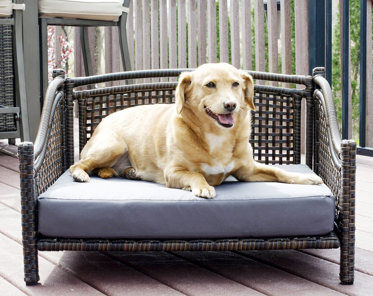 Rattan outdoor dog couch