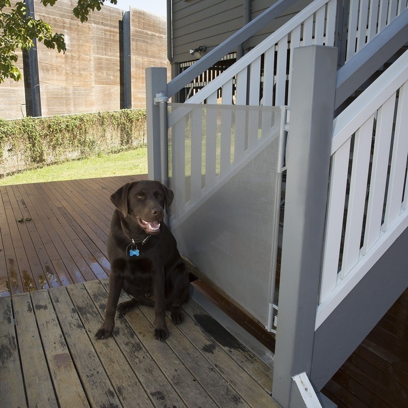 Retractable Safety Gate for Dogs
