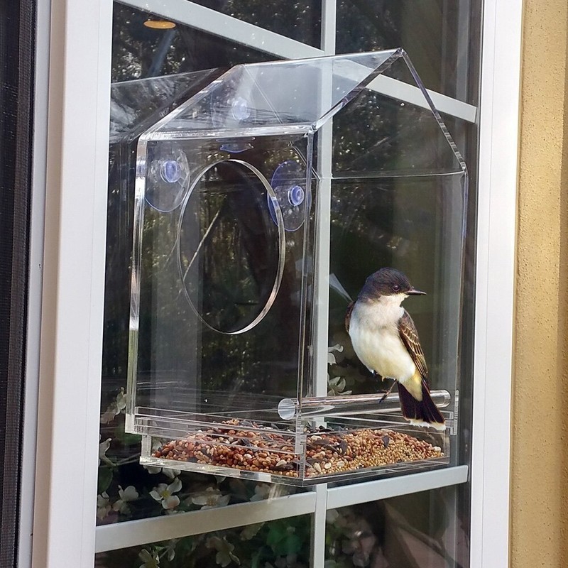 See Through Bird Nest House