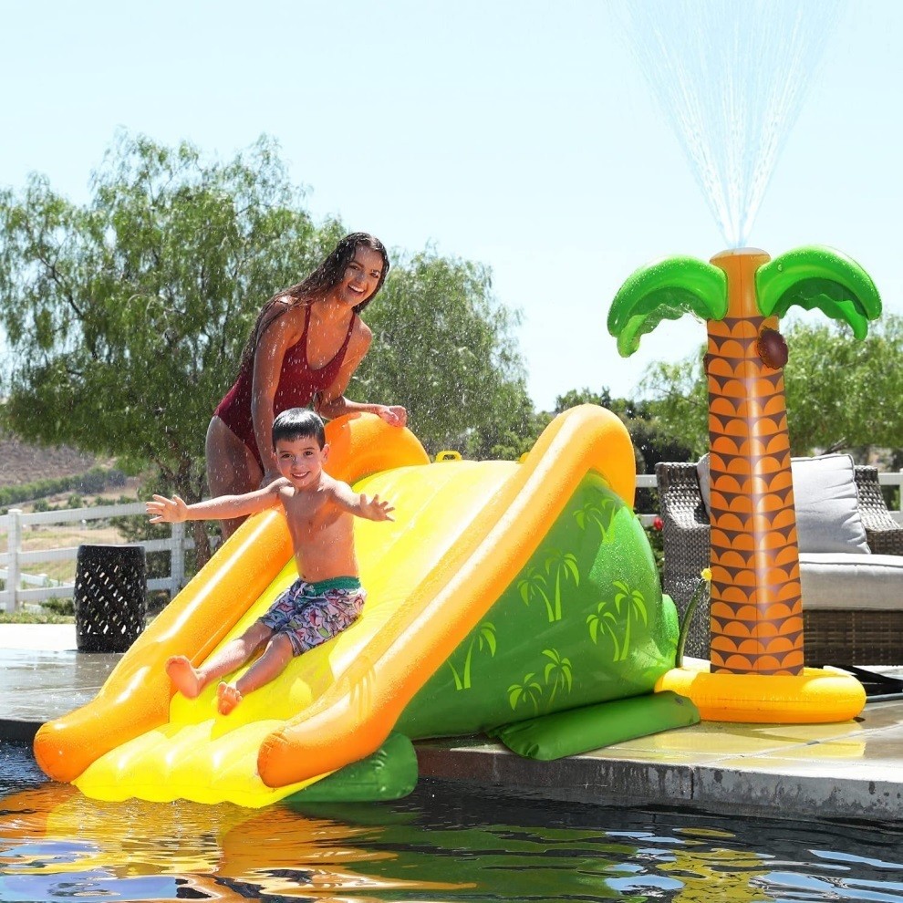 Themed Inflatable Water Slide for Kids 