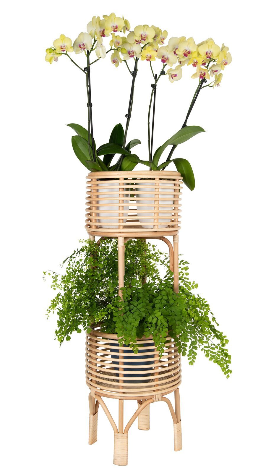 Vertically Stacked Indoor Plant Table and Stands