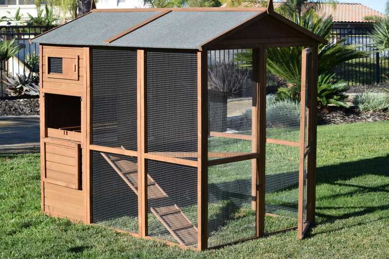 Walk In Chicken Coop with Nesting Box for 10 Chickens