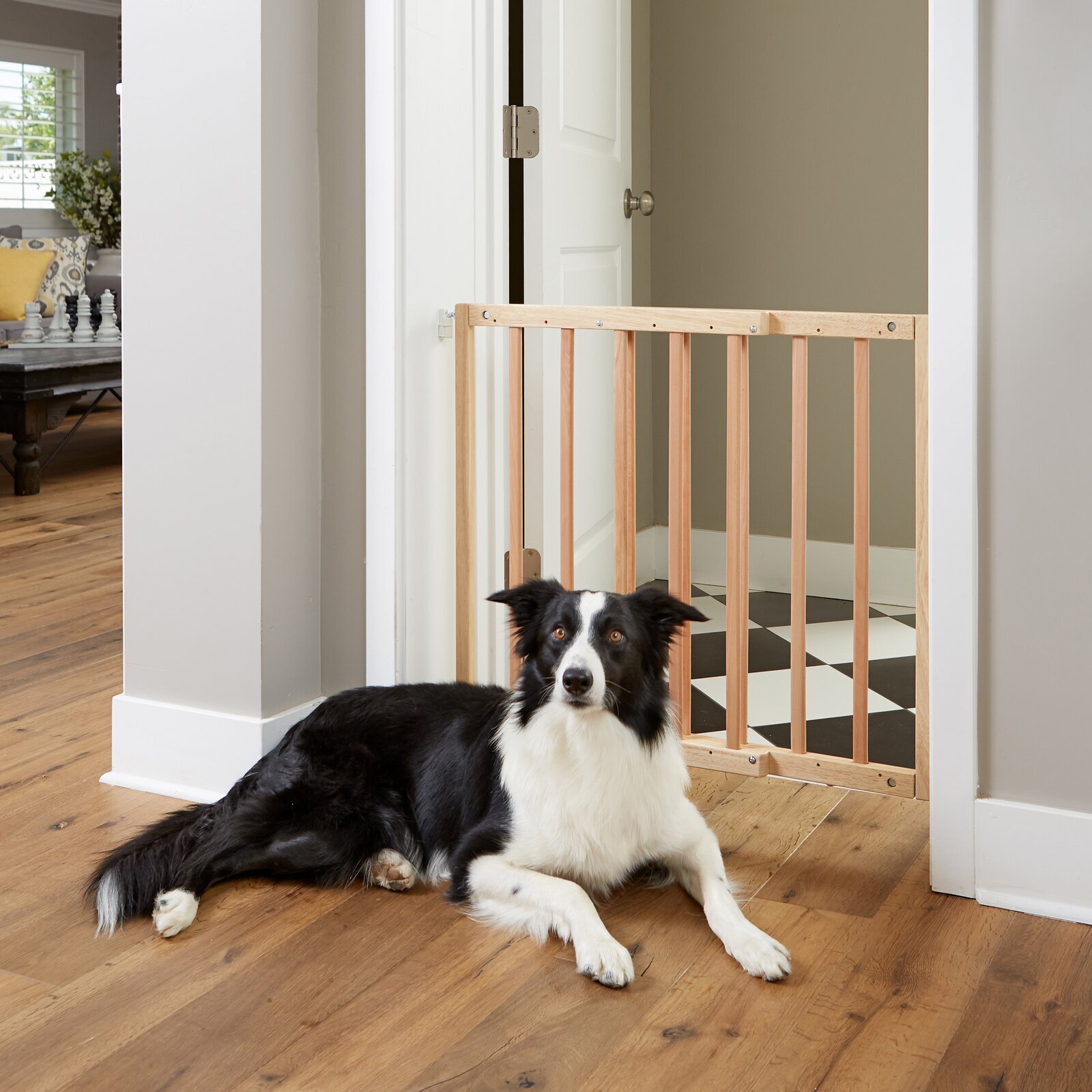 Wall Mounted Solid Dog Gate