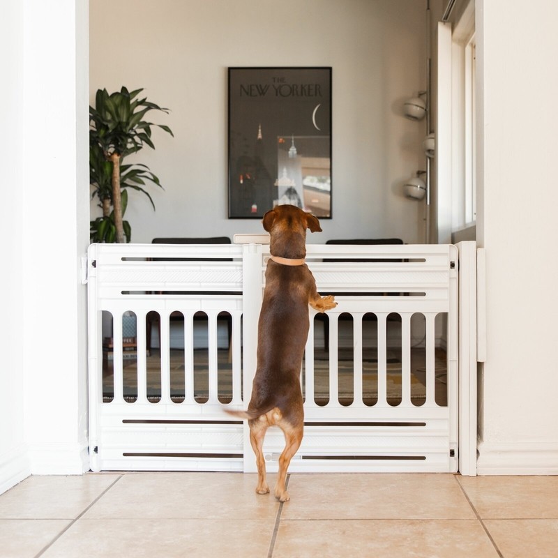 White Sliding and Portable Front Porch Gate for Dogs