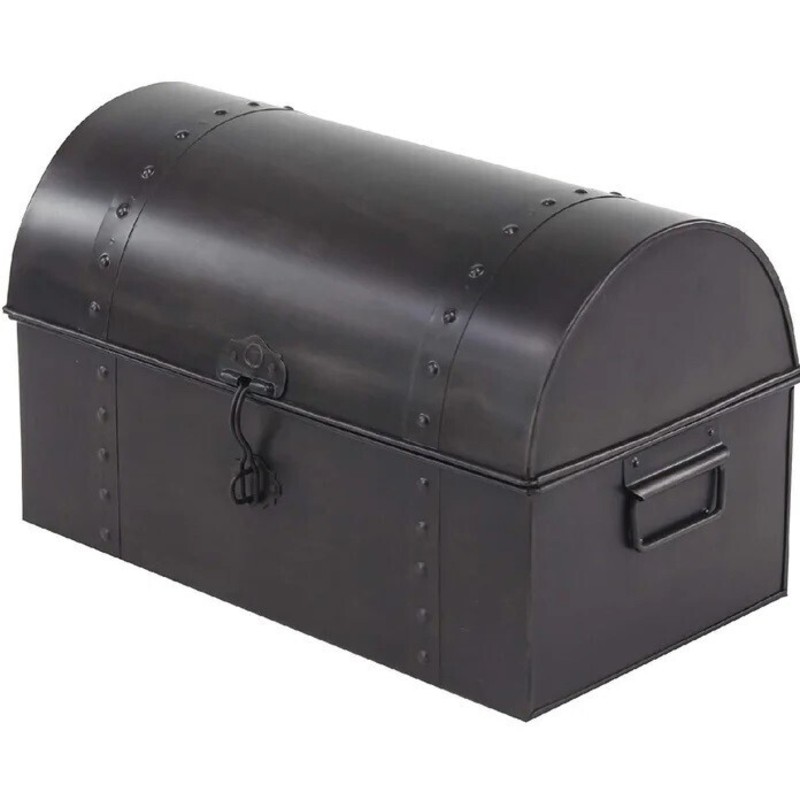 Metal Storage Trunk Ideas on Foter