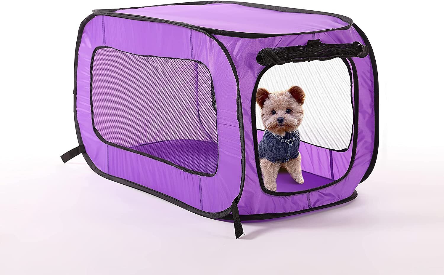 Basic purple dog crate for travel