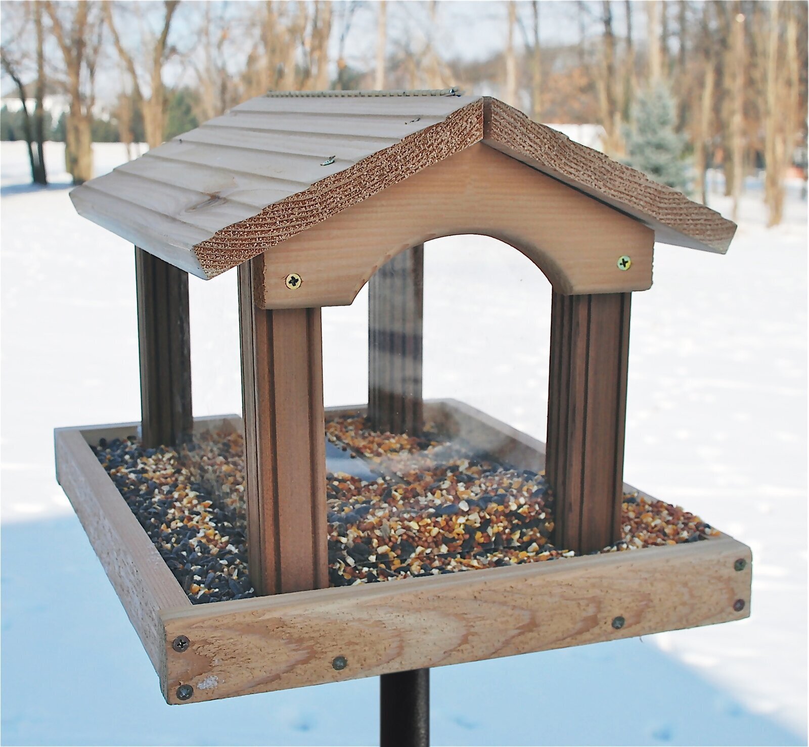 Bird Bath & Feeder Traditional Pedestal Free Standing Garden Bird Outdoor Table 