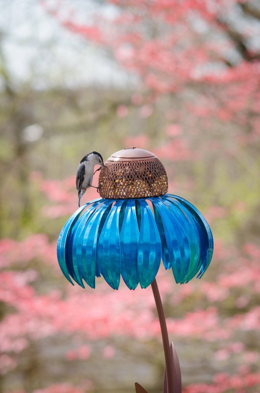 Blueberry Pie Coneflower Decorative Bird Feeder