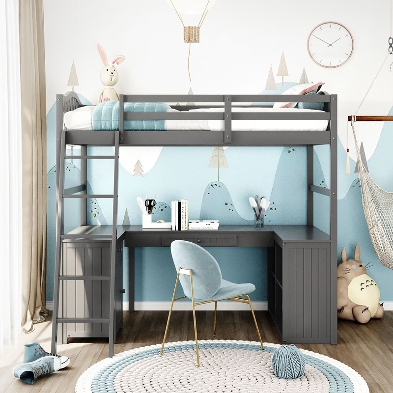 Bobine Twin 2 Drawer Loft Bed with Bookcase by Harriet Bee