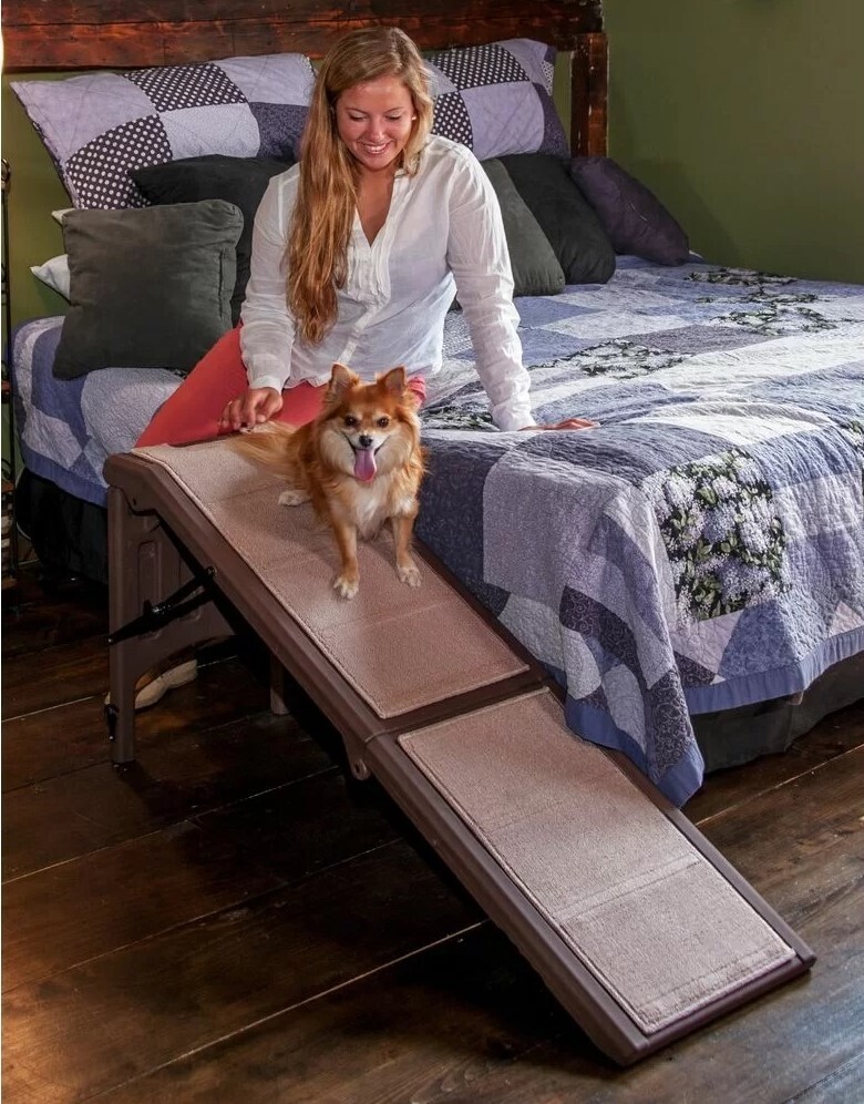 Brown Dog Ramp for Tall Bed