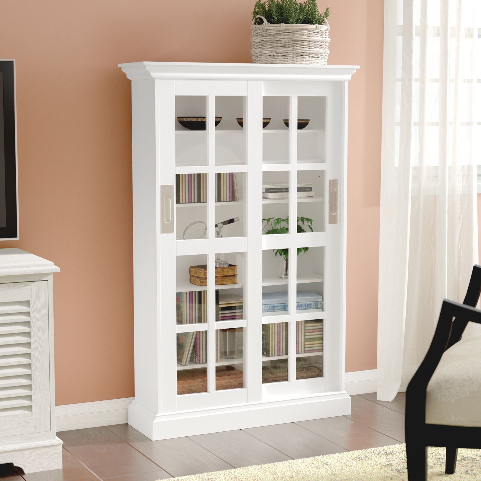 CD shelving with glass paneled doors