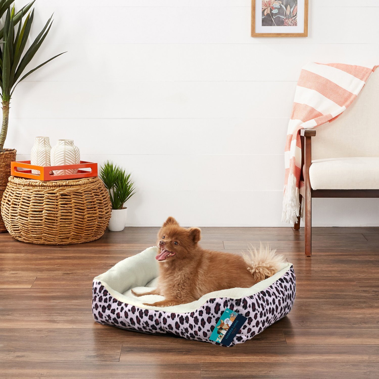Comfy Animal Print Dog Bed 