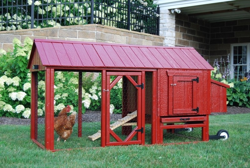 Dinah Chicken Coop with Chicken Run For Up To 4 Chickens
