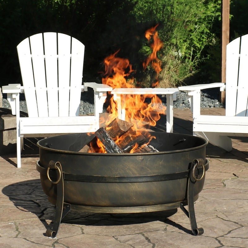 Flanigan 23'' H Steel Outdoor Fire Pit