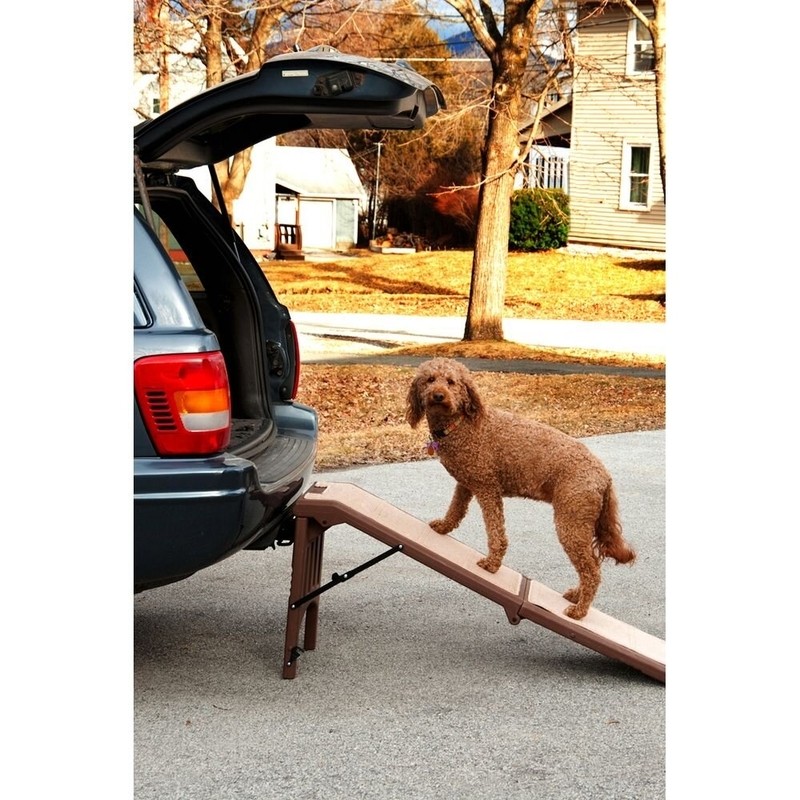 Free Standing 56" Pet Ramp