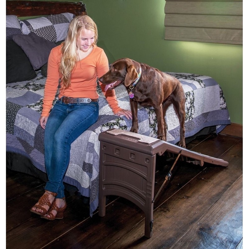 Free Standing 56" Pet Ramp