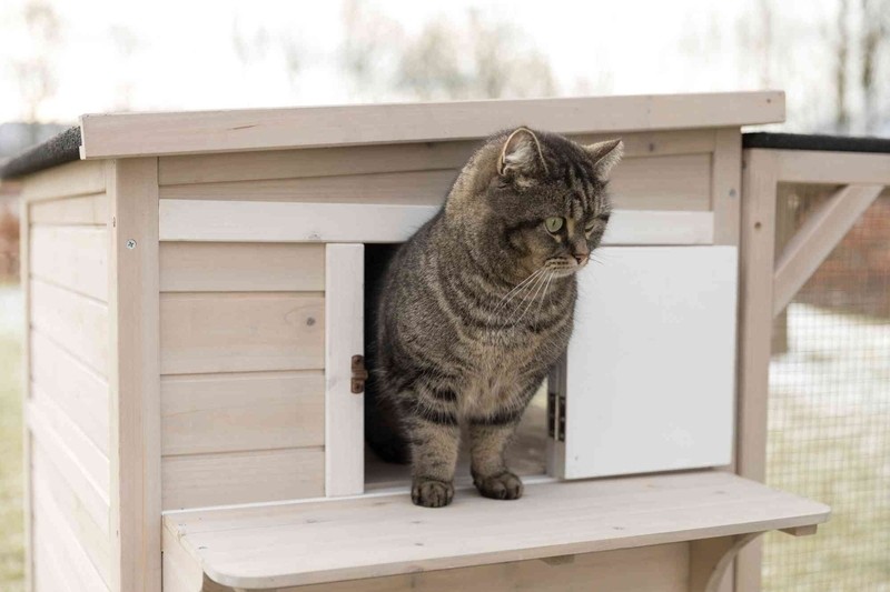 Gatsby Outdoor Cat House