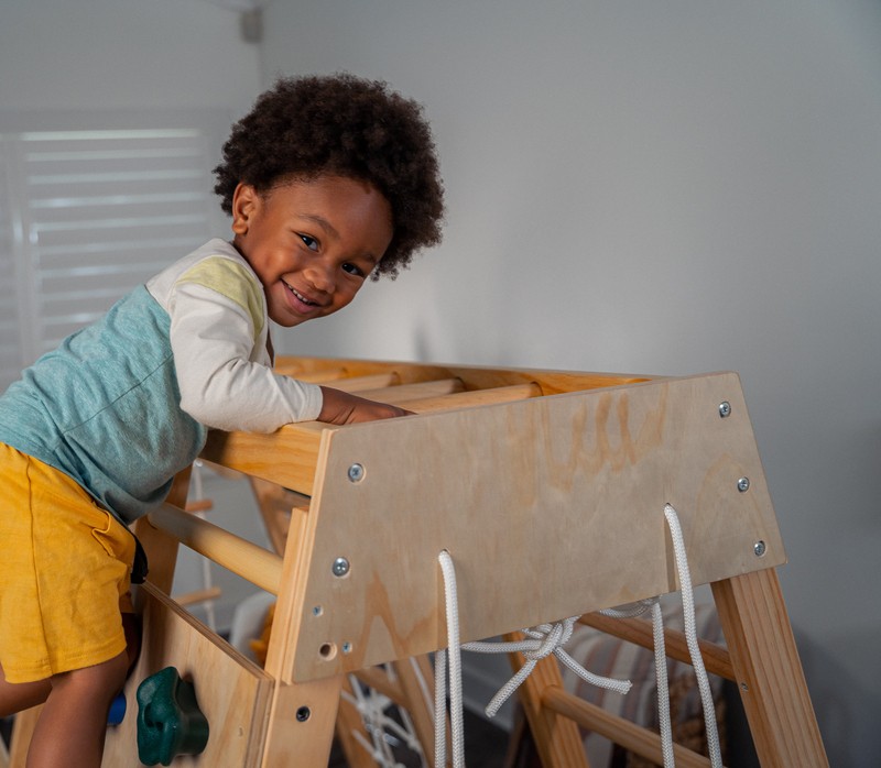 Indoor Toddler & Child Indoor Gym Playground Climber