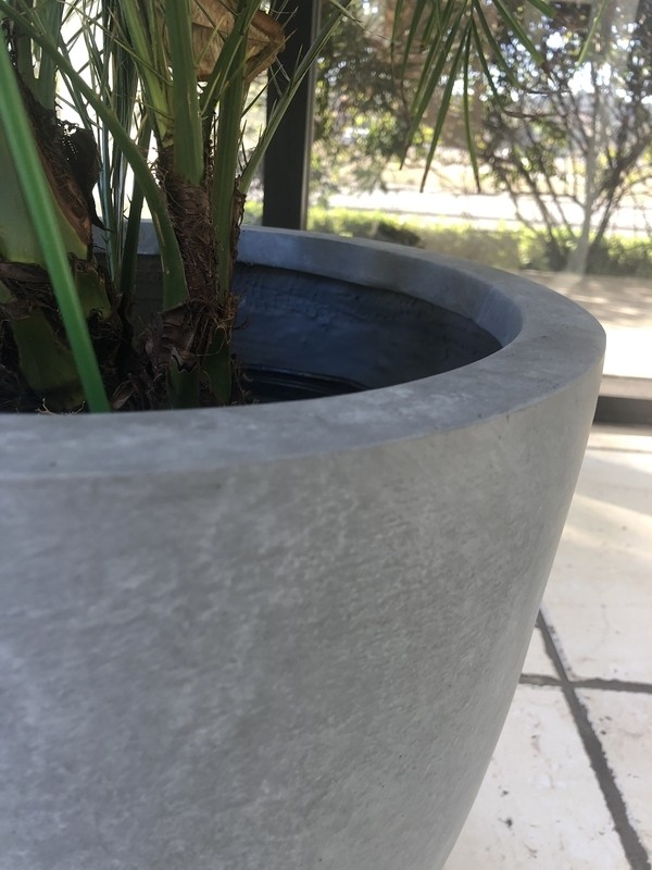 Karola Concrete Pot Planter